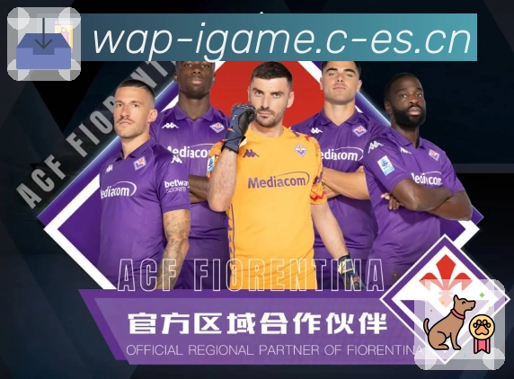 <strong>爱游戏</strong>客服与支持体系